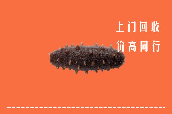 高价求购：昌都回收海参
